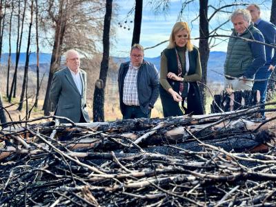Pradas anuncia una inversió d'1,3 milions en 2024 per a la restauració ambiental dels terrenys afectats per l'incendi de Bejís de l'estiu de 2022